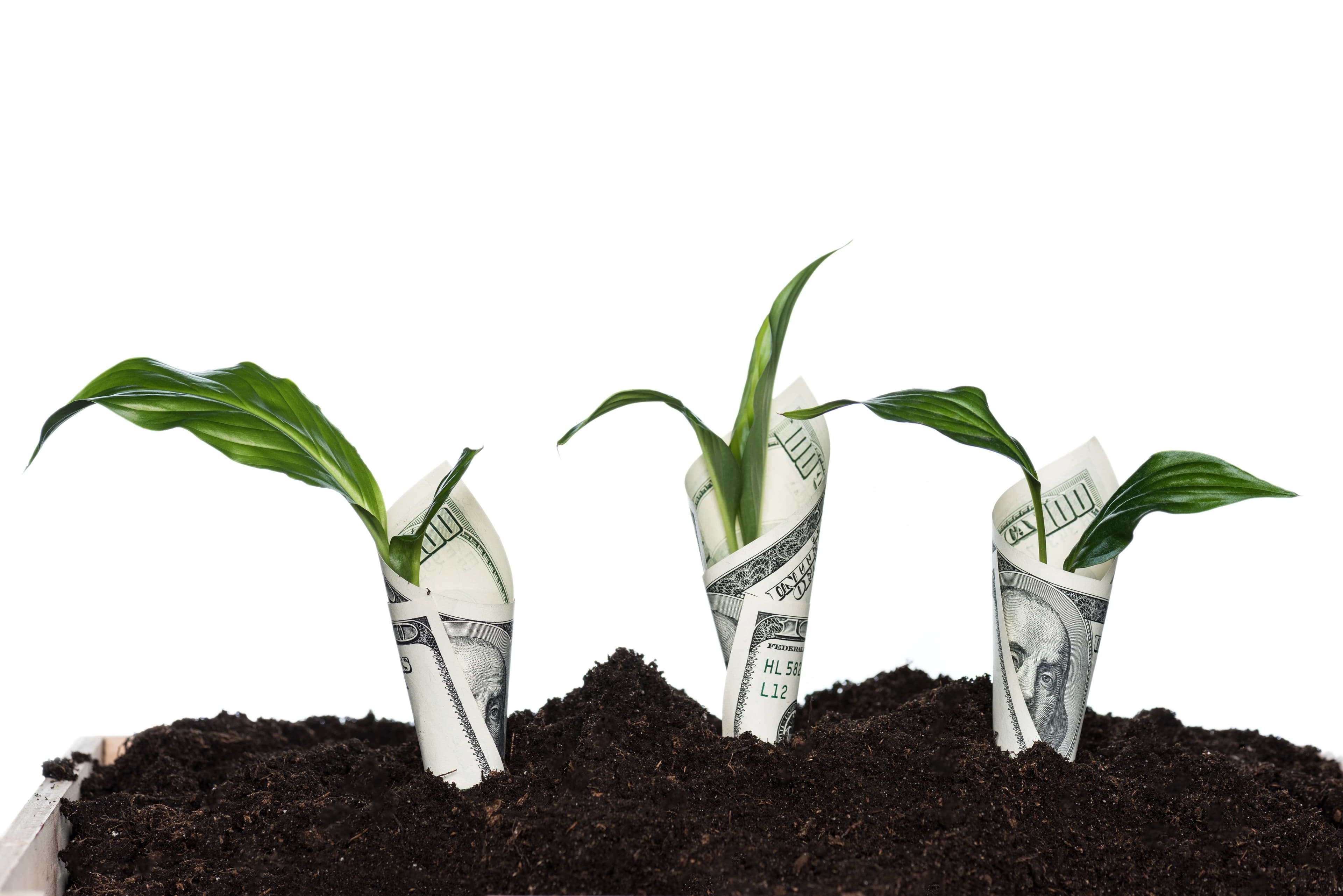 Fixed Indexed Annuities